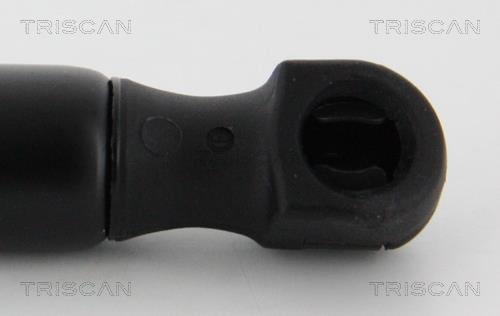 Muelle neumático Triscan A/S ref. 8710 16261