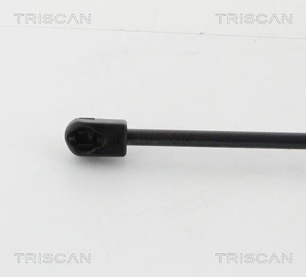 Vérin (Vérin de hayon) Triscan A/S 8710 16262