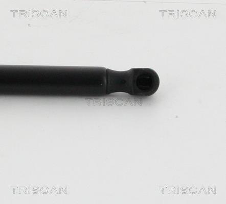 Vérin (Vérin de hayon) Triscan A/S 8710 16262