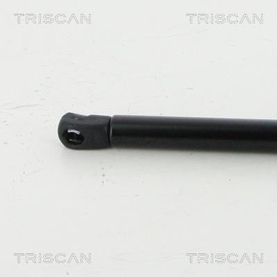 Vérin (Vérin de hayon) Triscan A/S 8710 16264