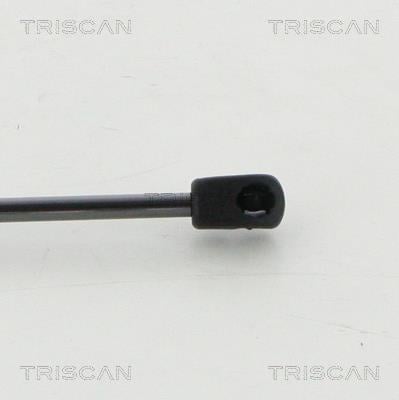 Vérin (Vérin de hayon) Triscan A/S 8710 16264