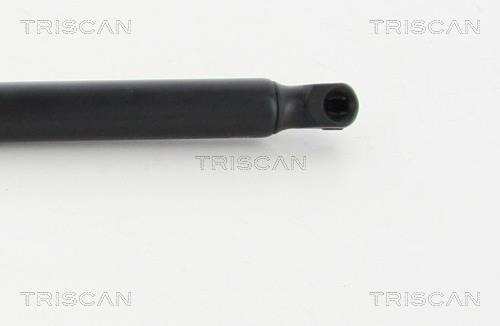 Vérin (Vérin de hayon) Triscan A/S 8710 16266