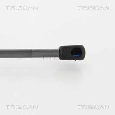 Muelle neumático Triscan A/S 8710 16268