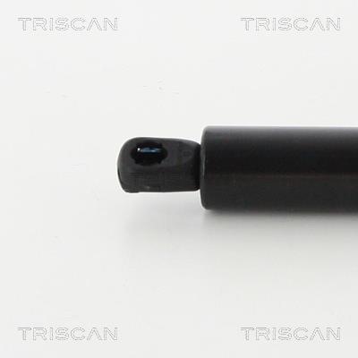 Muelle neumático Triscan A/S 8710 16268