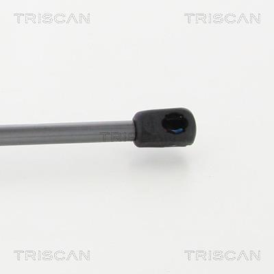 Vérin (Vérin de hayon) Triscan A/S 8710 16270