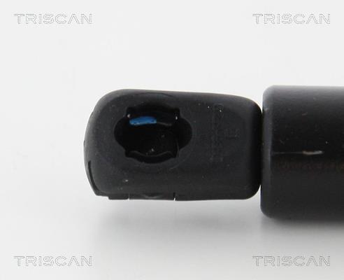 Vérin (Vérin de hayon) Triscan A/S 8710 16270