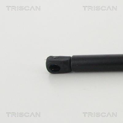 Vérin (Vérin de hayon) Triscan A/S 8710 16271