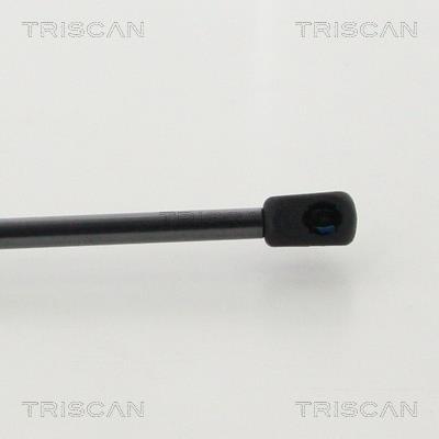 Vérin (Vérin de hayon) Triscan A/S 8710 16272