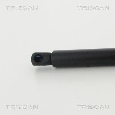 Vérin (Vérin de hayon) Triscan A/S 8710 16272