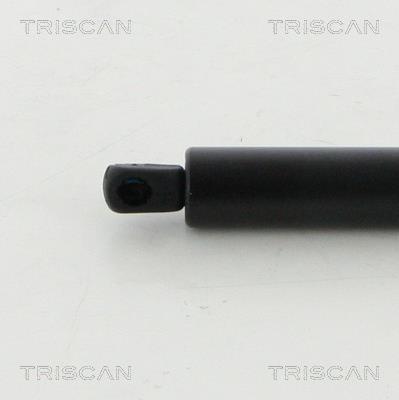 Vérin (Vérin de hayon) Triscan A/S 8710 16273