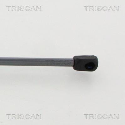 Vérin (Vérin de hayon) Triscan A/S 8710 16273