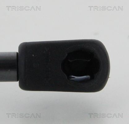Vérin (Vérin de hayon) Triscan A/S 8710 16274