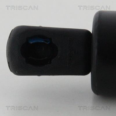 Vérin (Vérin de hayon) Triscan A/S 8710 16274