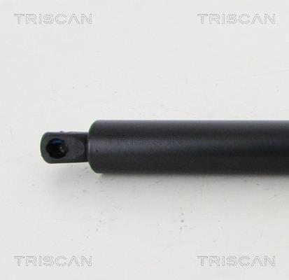 Vérin (Vérin de hayon) Triscan A/S 8710 16275