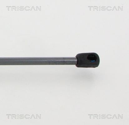 Vérin (Vérin de hayon) Triscan A/S 8710 16275