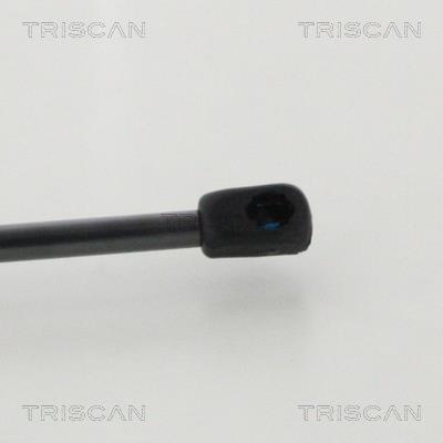 Vérin (Vérin de hayon) Triscan A/S 8710 16276