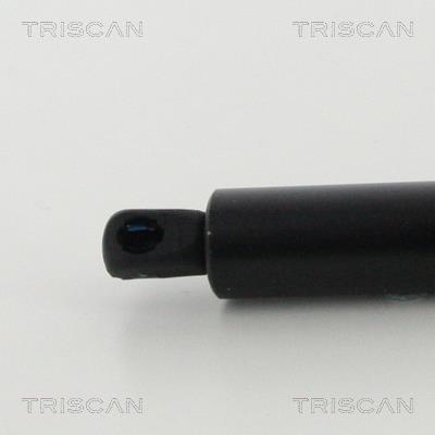 Vérin (Vérin de hayon) Triscan A/S 8710 16276