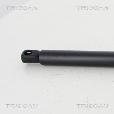 Vérin (Vérin de hayon) Triscan A/S 8710 16277