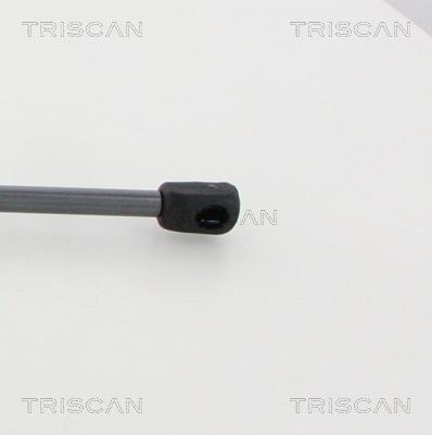 Vérin (Vérin de hayon) Triscan A/S 8710 16277