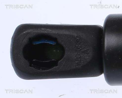 Vérin (Vérin de hayon) Triscan A/S ref. 8710 16279
