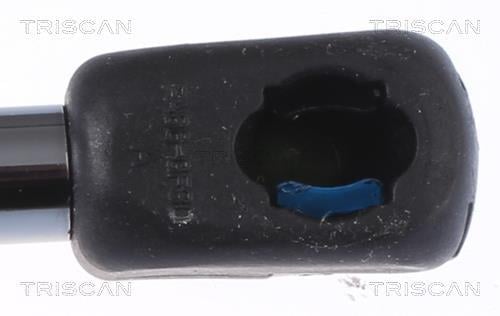 Vérin (Vérin de hayon) Triscan A/S ref. 8710 16279