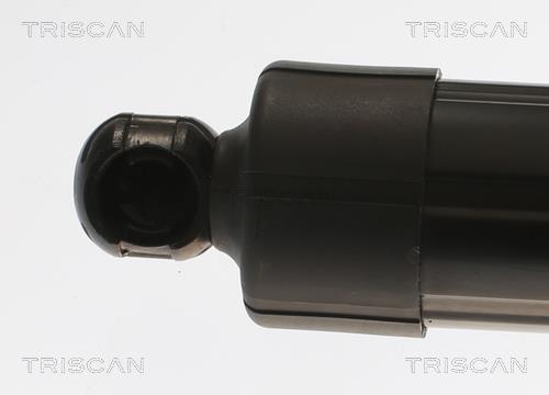 Vérin (Vérin de hayon) Triscan A/S ref. 8710 16301