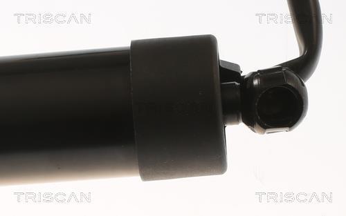 Vérin (Vérin de hayon) Triscan A/S ref. 8710 16301