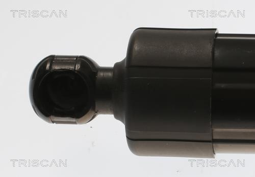 Vérin (Vérin de hayon) Triscan A/S ref. 8710 16302