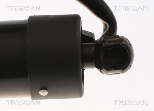 Vérin (Vérin de hayon) Triscan A/S ref. 8710 16302
