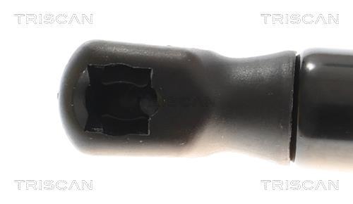 Muelle neumático, maletero/compartimento de carga Triscan A/S ref. 8710 16310