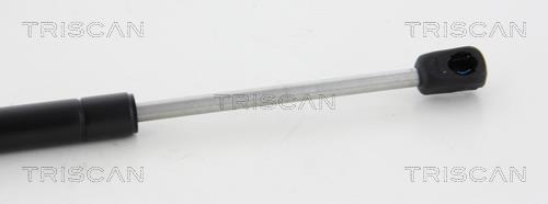 Vérin (Vérin de hayon) Triscan A/S 8710 17102