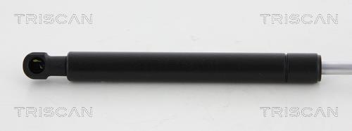 Vérin (Vérin de hayon) Triscan A/S 8710 17103