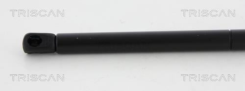 Vérin (Vérin de hayon) Triscan A/S ref. 8710 17104