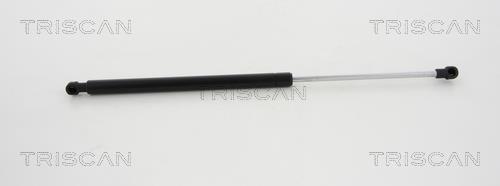 Vérin (Vérin de hayon) Triscan A/S 8710 17105