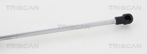 Vérin (Vérin de hayon) Triscan A/S 8710 17105