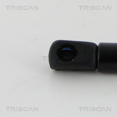 Vérin (Vérin de hayon) Triscan A/S ref. 8710 17108