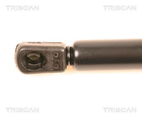 Vérin (Vérin de hayon) Triscan A/S 8710 17204