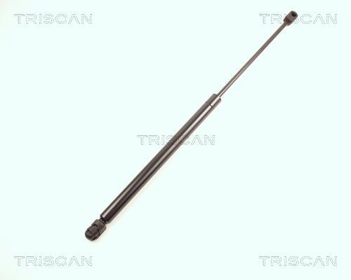 Vérin (Vérin de hayon) Triscan A/S ref. 8710 17205