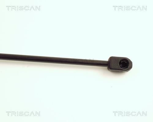 Vérin (Vérin de hayon) Triscan A/S ref. 8710 17205