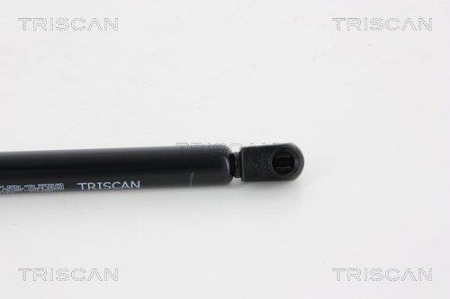 Vérin (Vérin de hayon) Triscan A/S 8710 17212