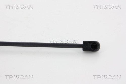 Vérin (Vérin de hayon) Triscan A/S 8710 17212