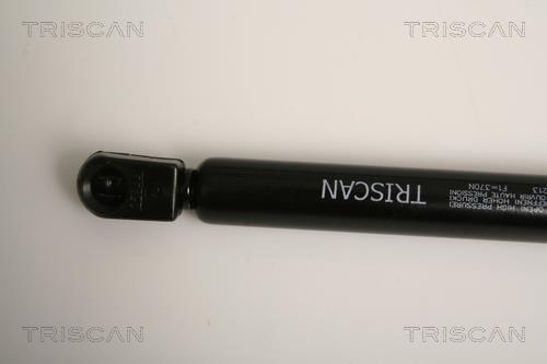 Vérin (Vérin de hayon) Triscan A/S 8710 17213