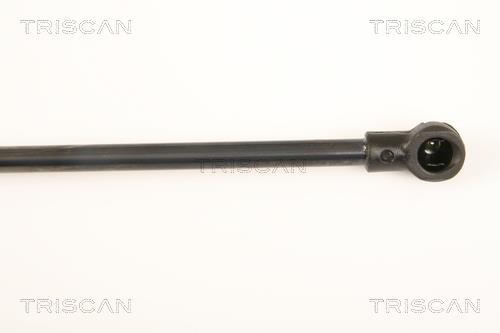 Vérin (Vérin de hayon) Triscan A/S ref. 8710 17214