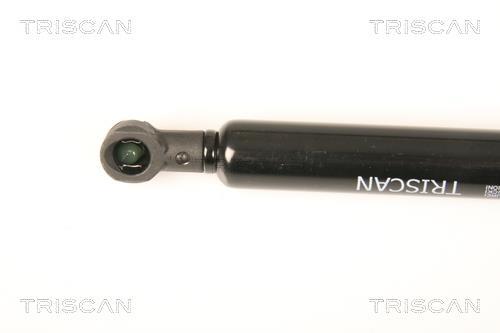 Vérin (Vérin de hayon) Triscan A/S ref. 8710 17215