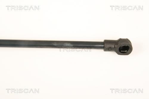 Vérin (Vérin de hayon) Triscan A/S ref. 8710 17215
