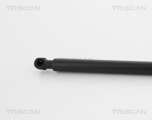 Muelle neumático Triscan A/S 8710 17216
