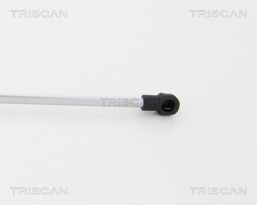 Muelle neumático Triscan A/S 8710 17216
