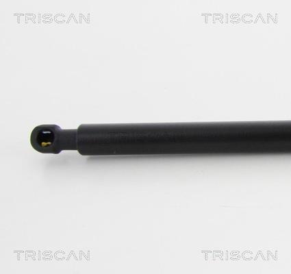 Vérin (Vérin de hayon) Triscan A/S 8710 17217