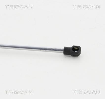 Vérin (Vérin de hayon) Triscan A/S 8710 17217