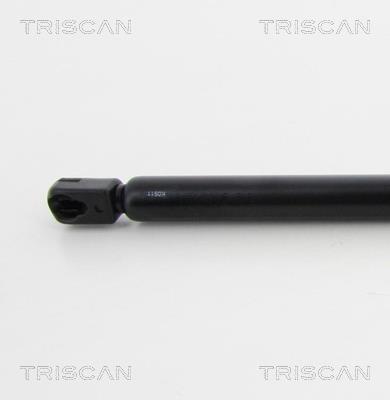 Cilindro Triscan A/S 8710 17218
